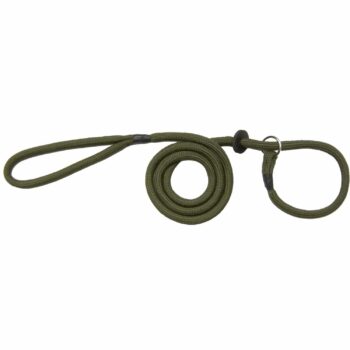 Dog - Leash