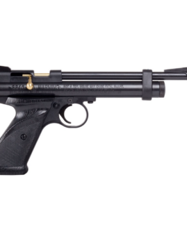 Crosman 2240 .22 Air Pistol