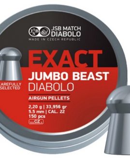 JSB Exact Beast .22 Pellets