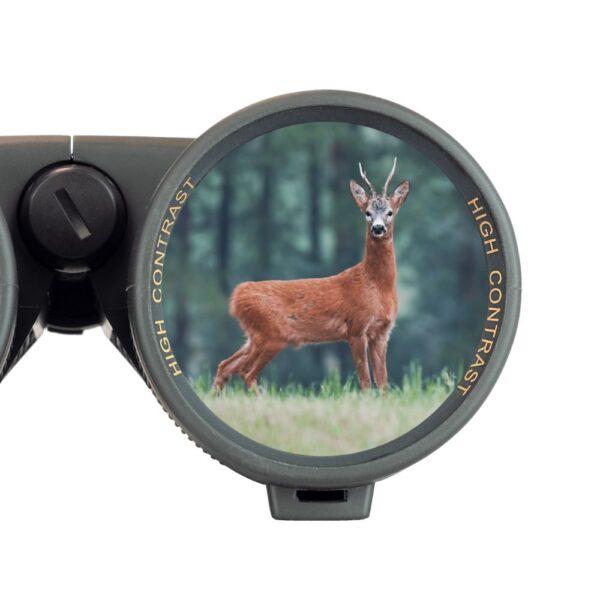 steiner binoculars ranger xtreme 10x42